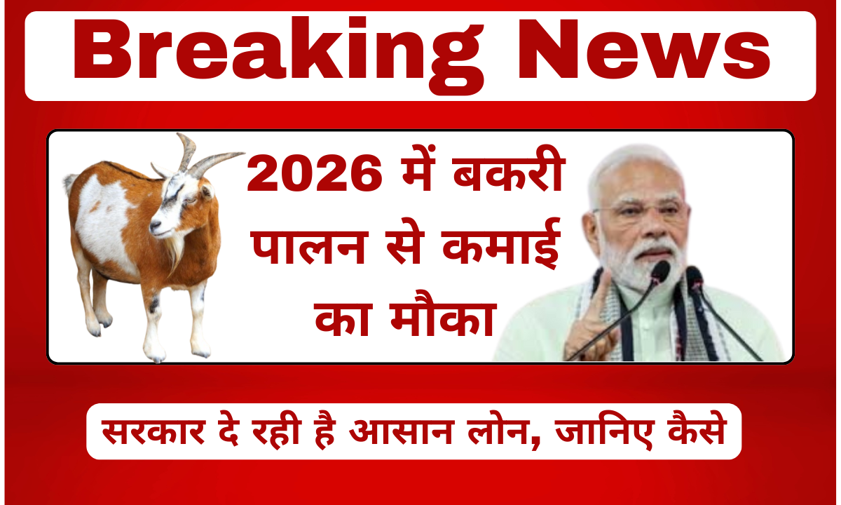 2025 में बकरी पालन से कमाई का मौका, सरकार की आसान लोन स्कीम से शुरू करें व्यवसाय